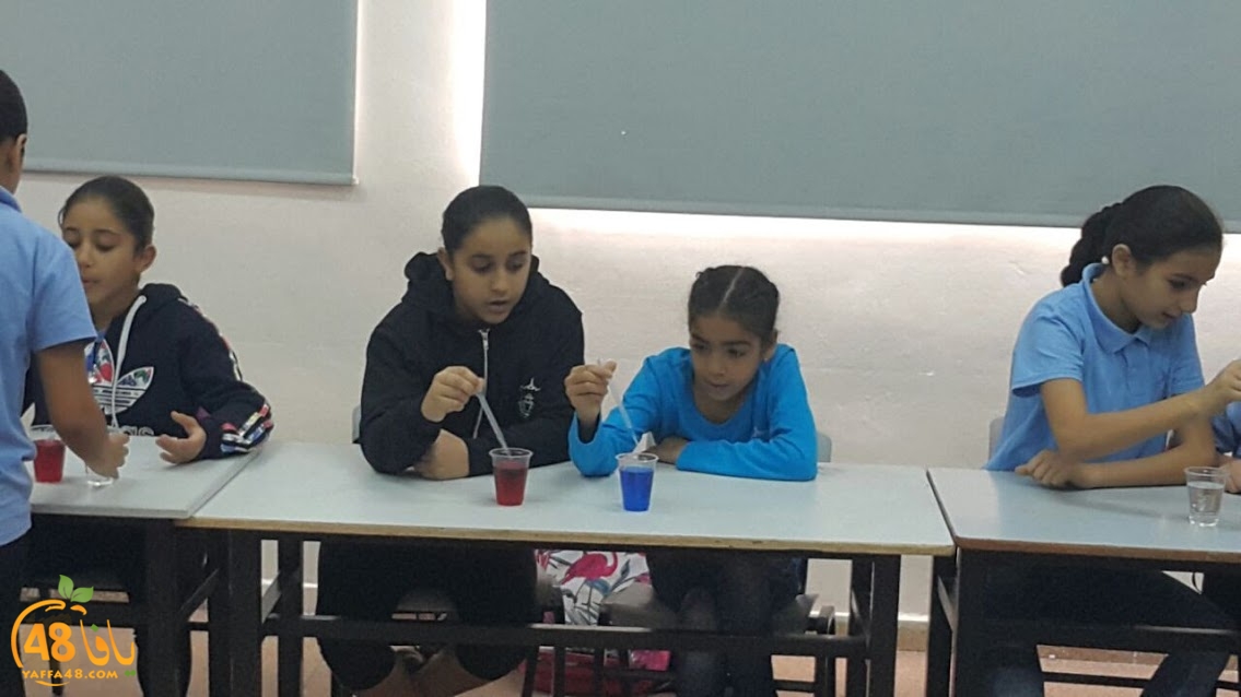 cimikal day (16).jpg